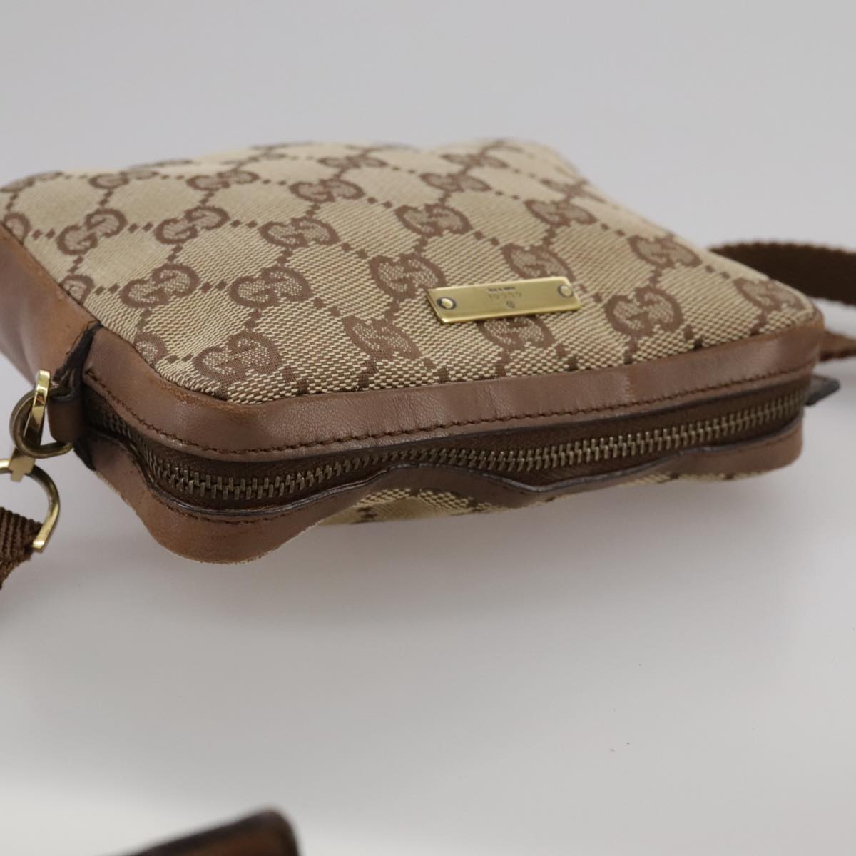 Gucci GG canvas
