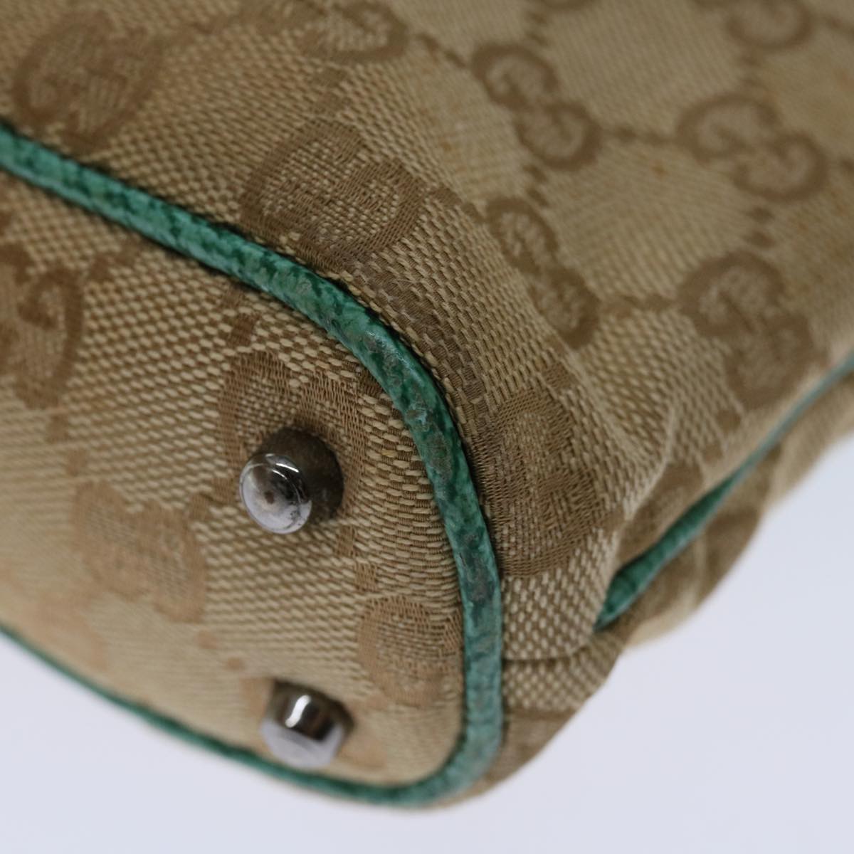 Gucci GG canvas