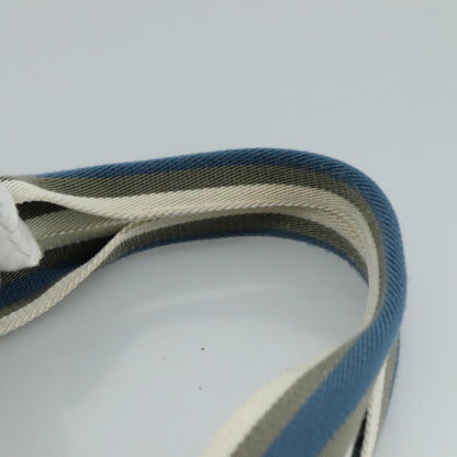 Gucci GG canvas