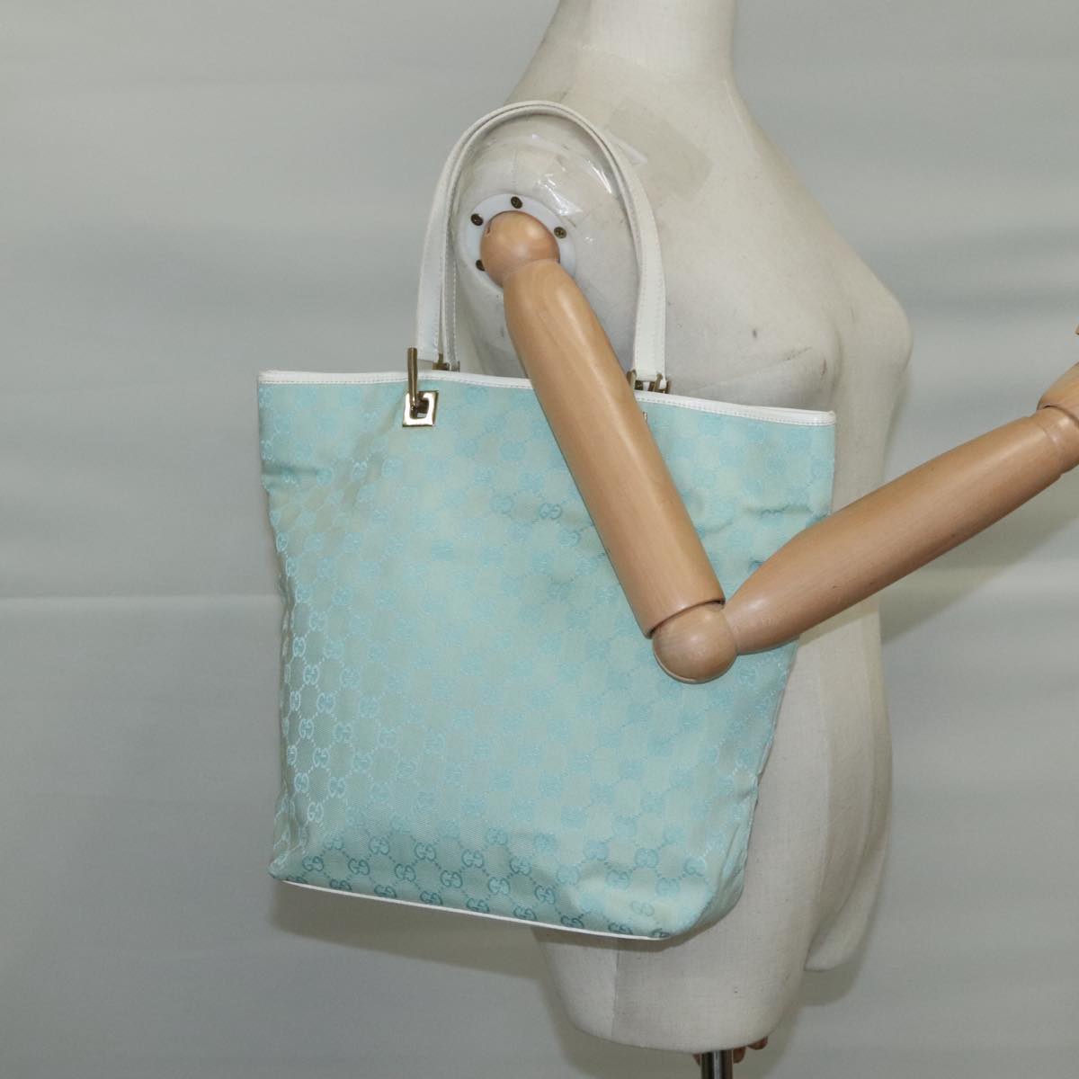 Gucci GG canvas