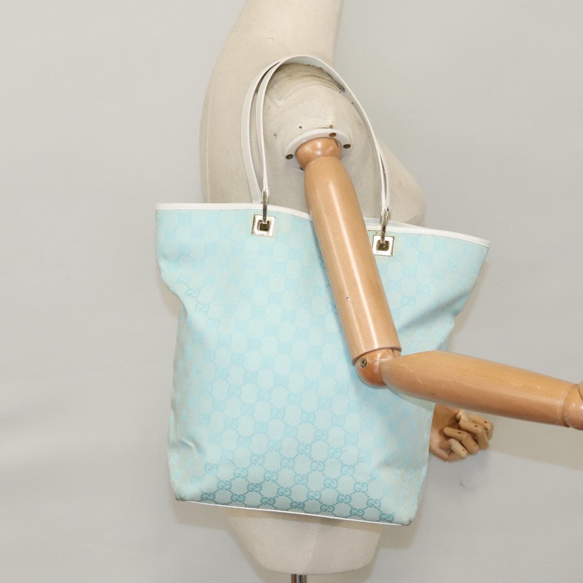 Gucci GG canvas