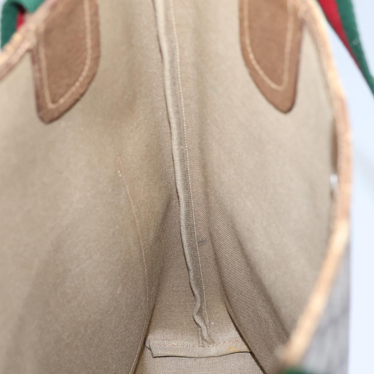 Gucci GG canvas
