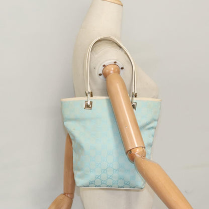 Gucci GG canvas