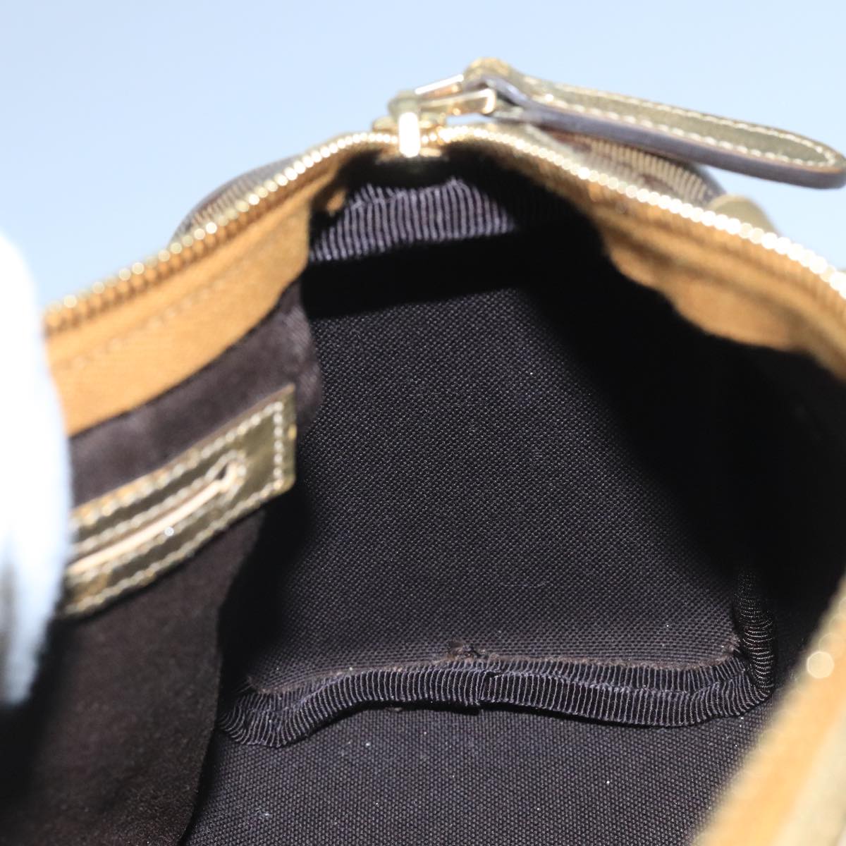 Gucci GG canvas