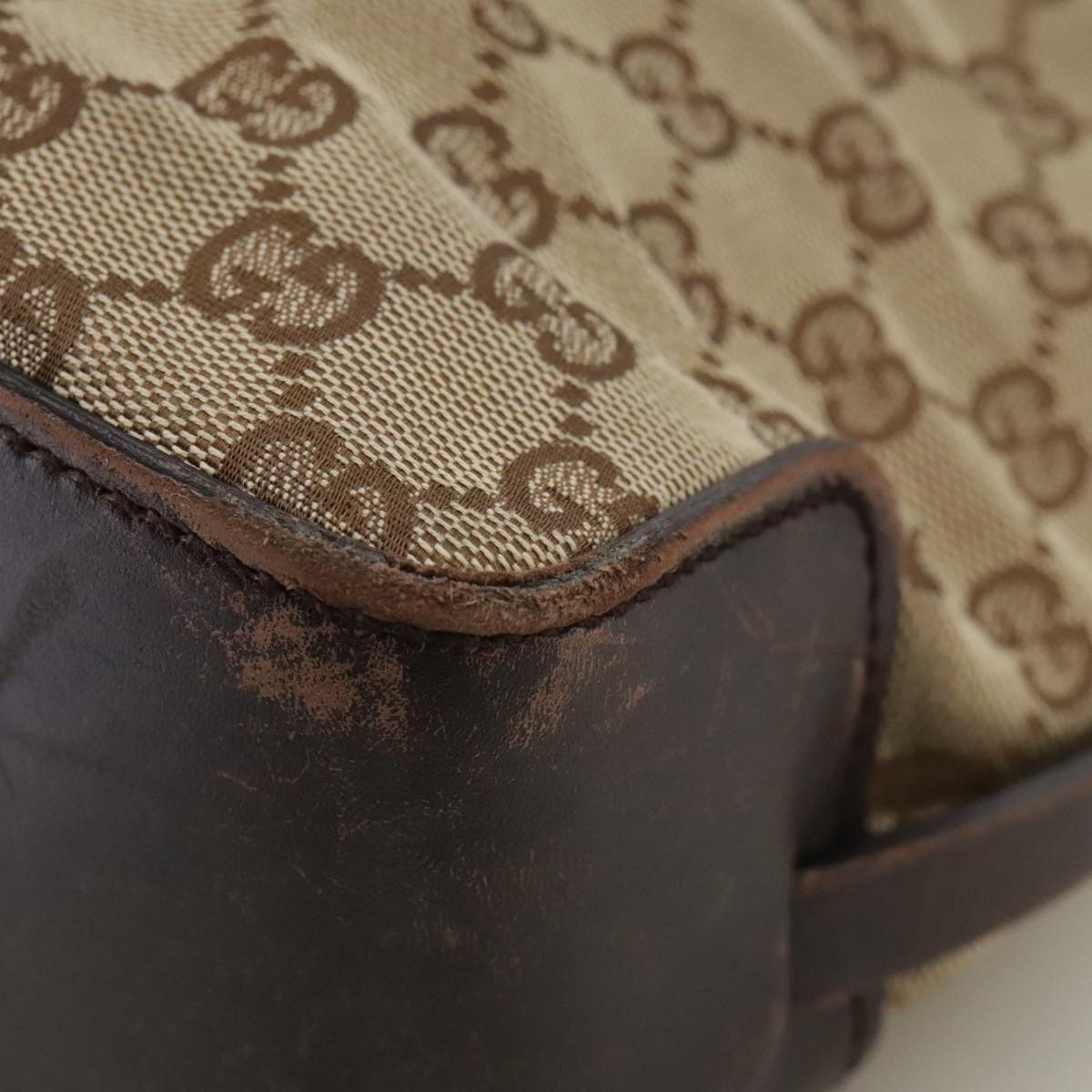 Gucci GG canvas