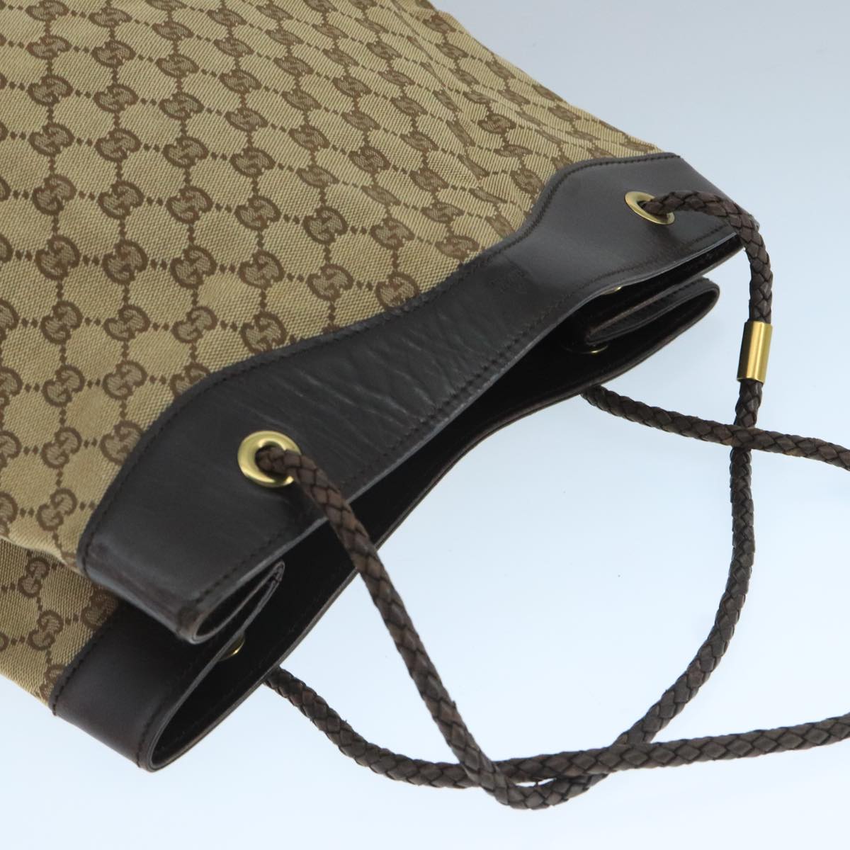 Gucci GG canvas