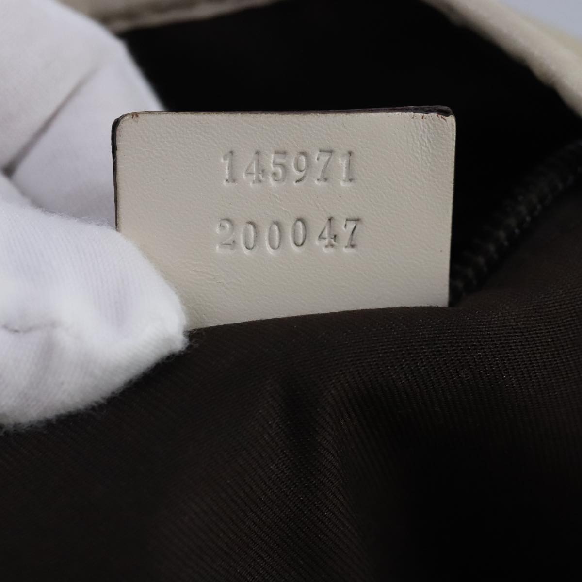 Gucci GG canvas