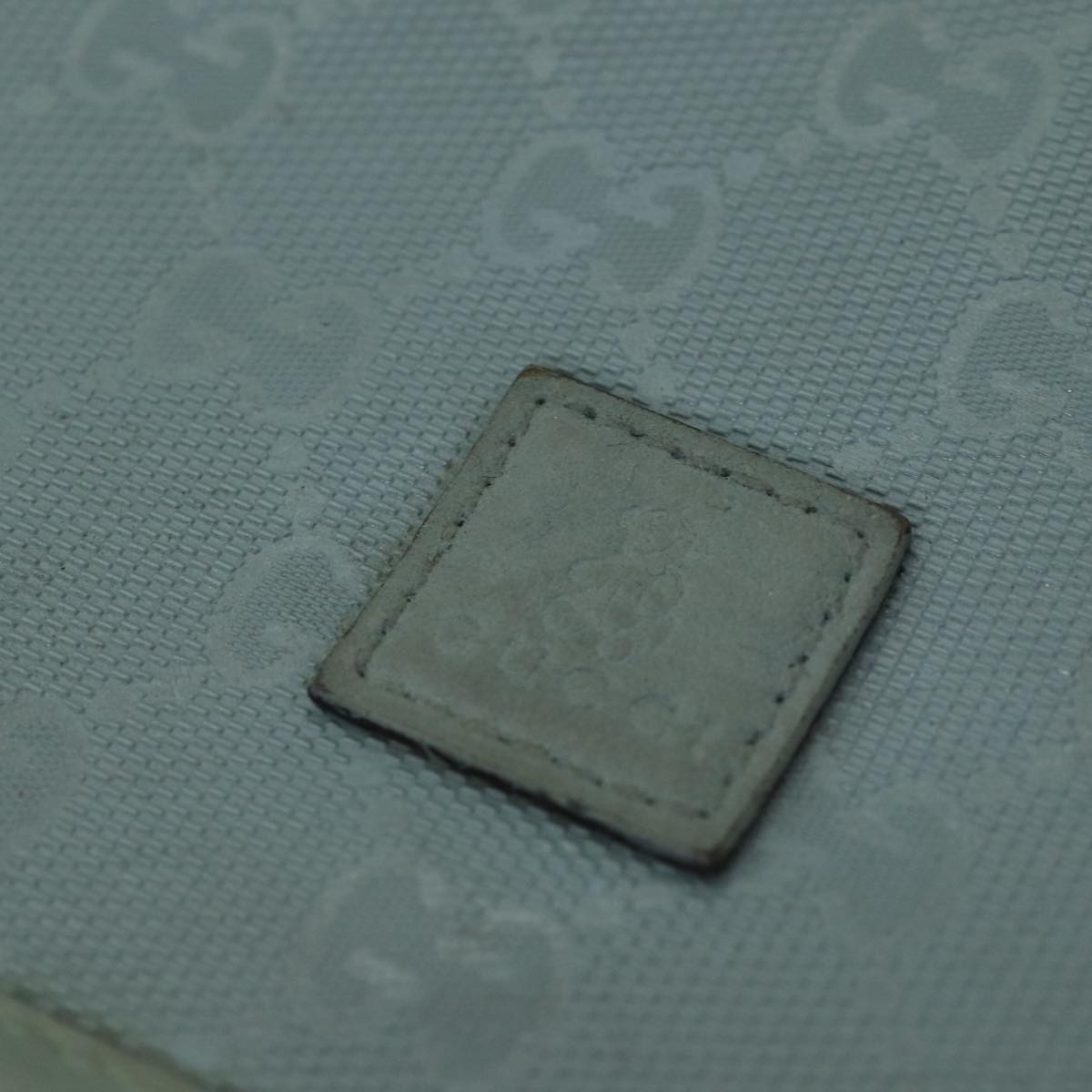Gucci GG canvas