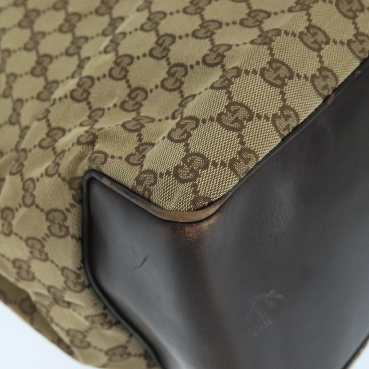 Gucci GG canvas