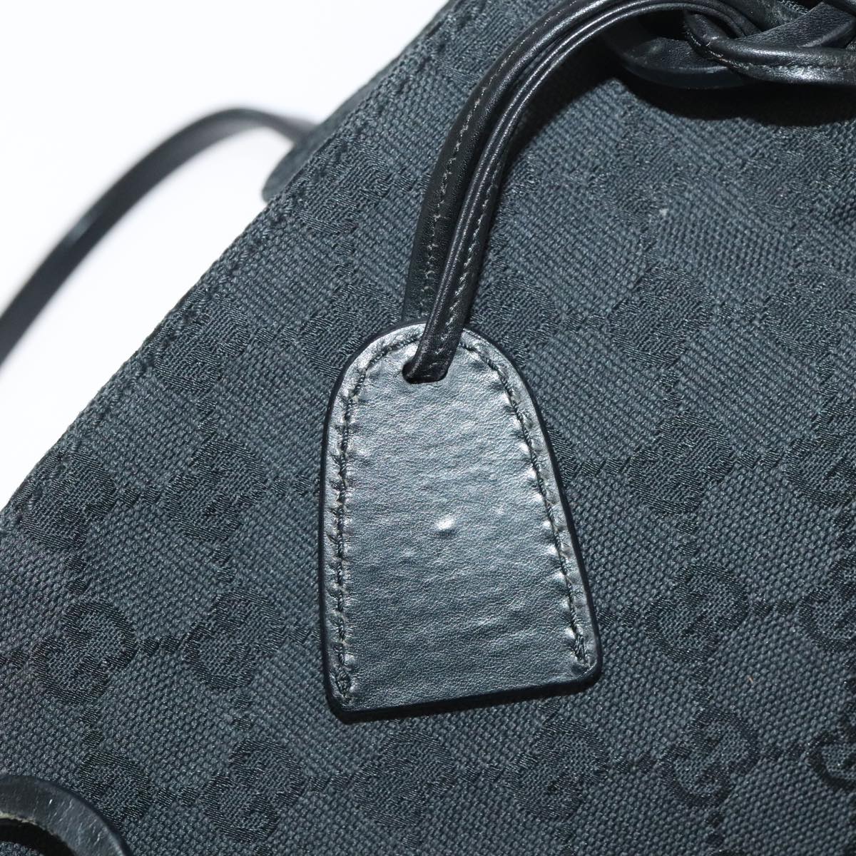 Gucci GG canvas