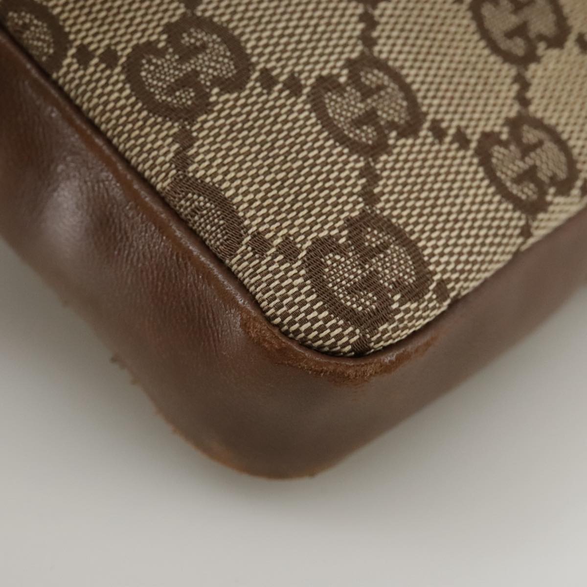 Gucci GG canvas