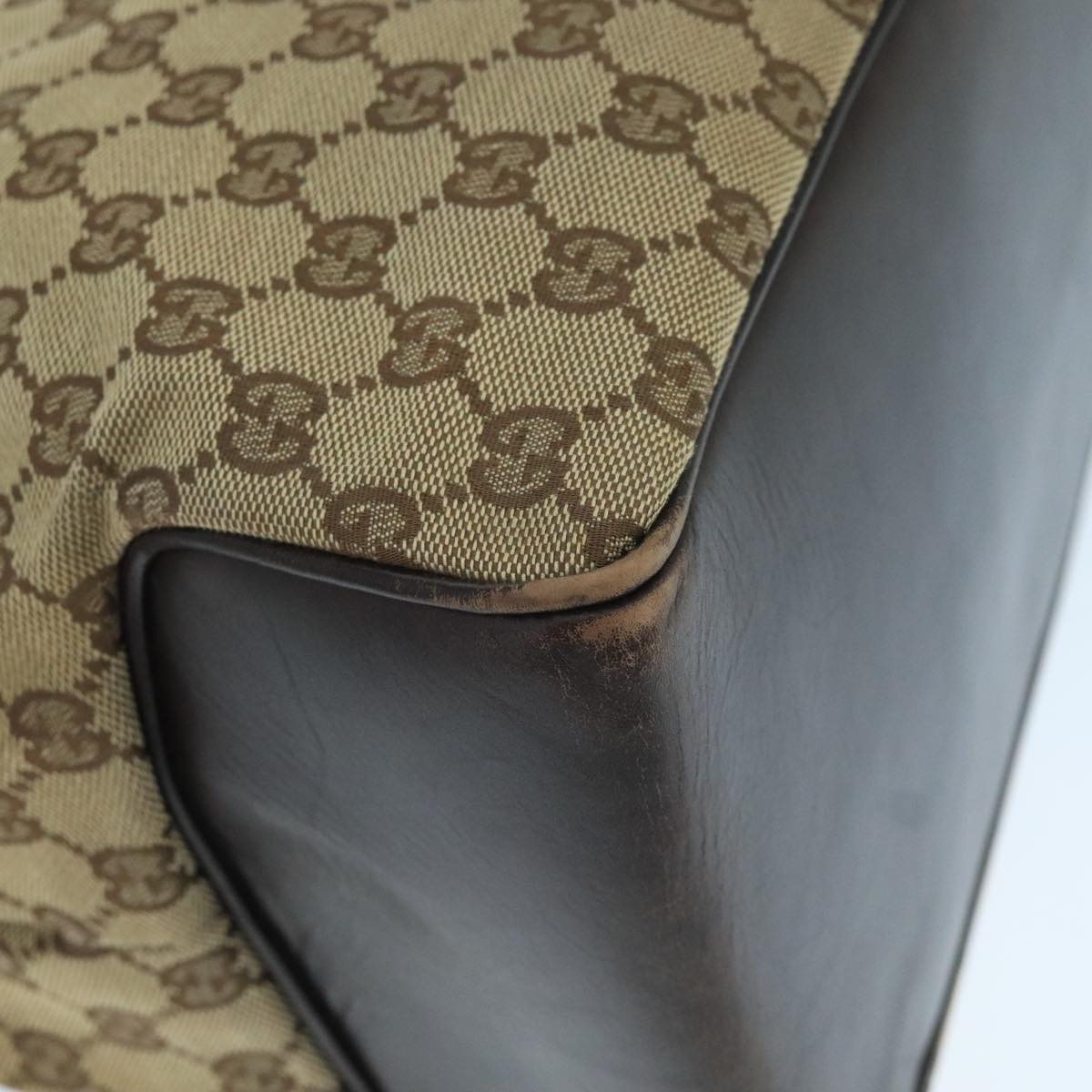 Gucci GG canvas