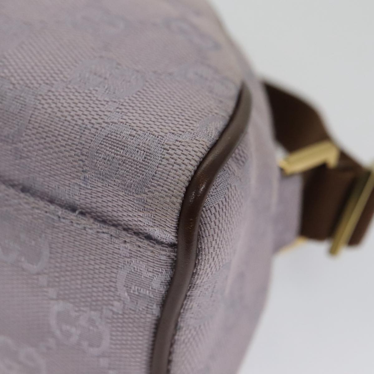 Gucci GG canvas