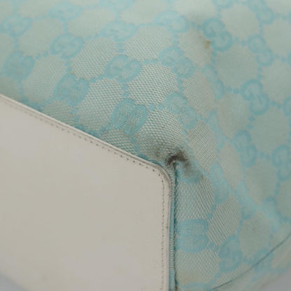 Gucci GG canvas