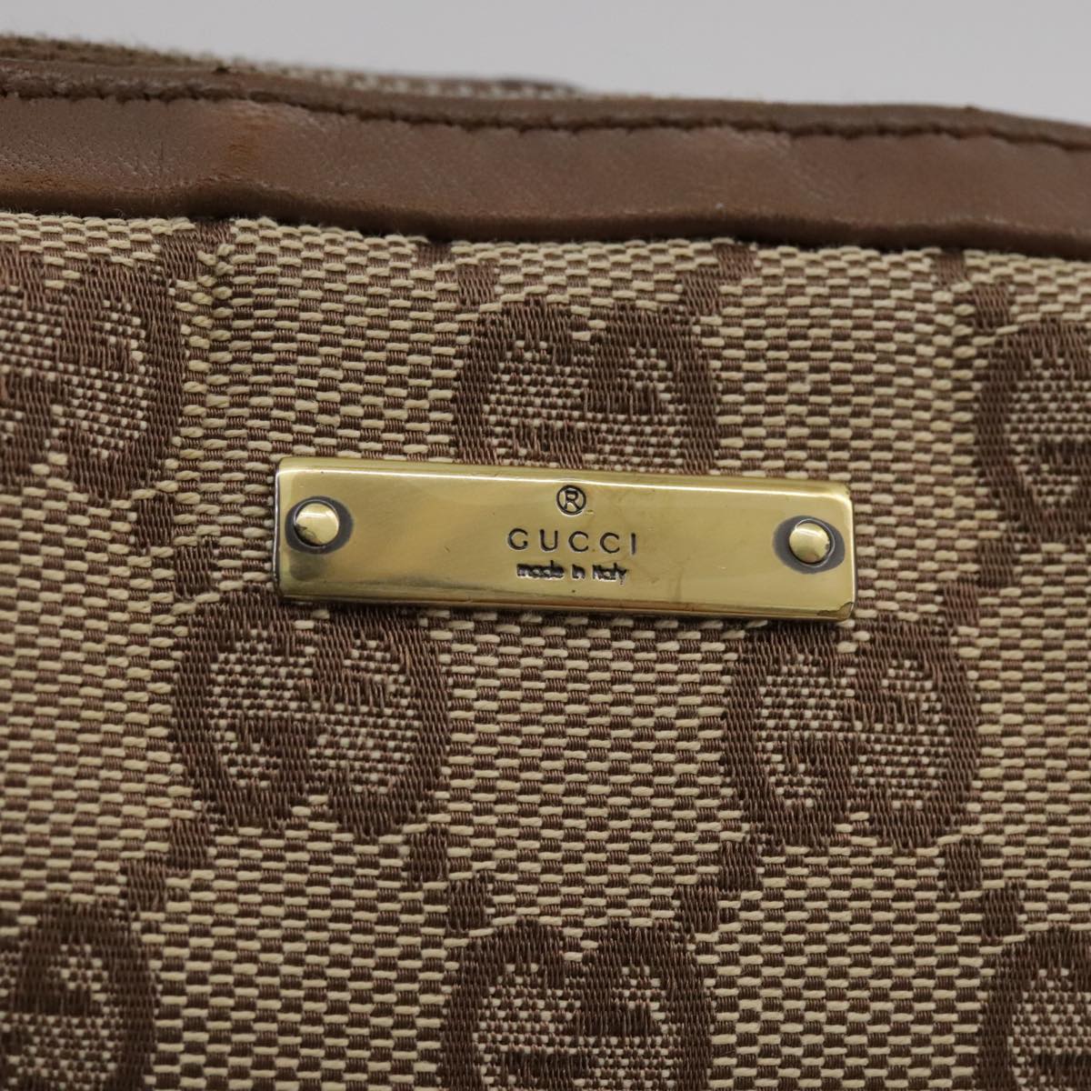 Gucci GG canvas