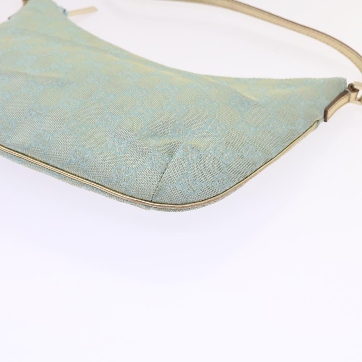 Gucci GG canvas