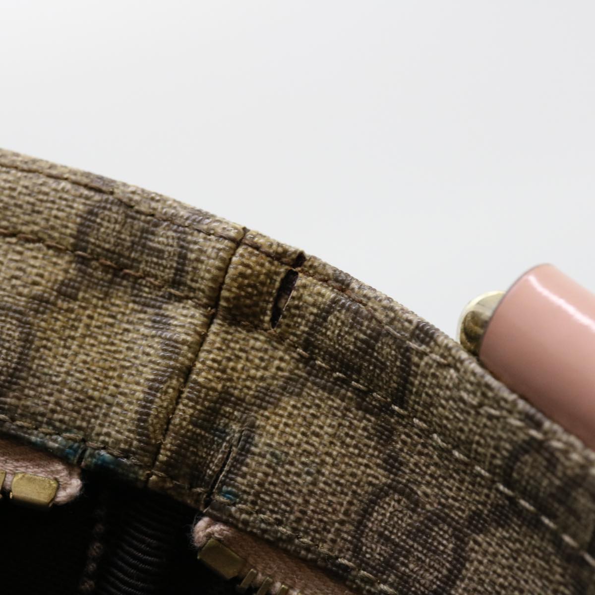Gucci GG canvas