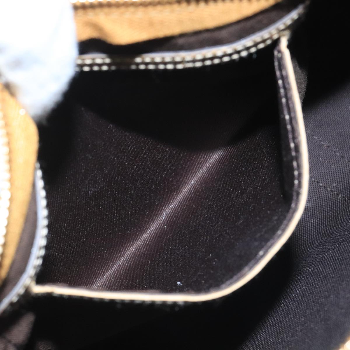 Gucci GG canvas