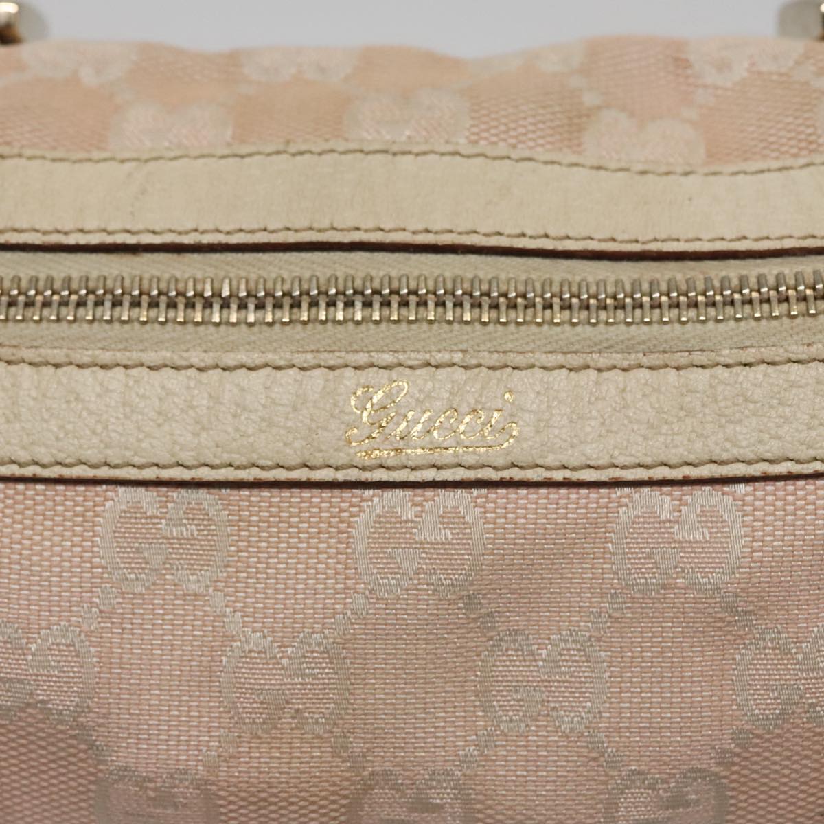 Gucci GG canvas