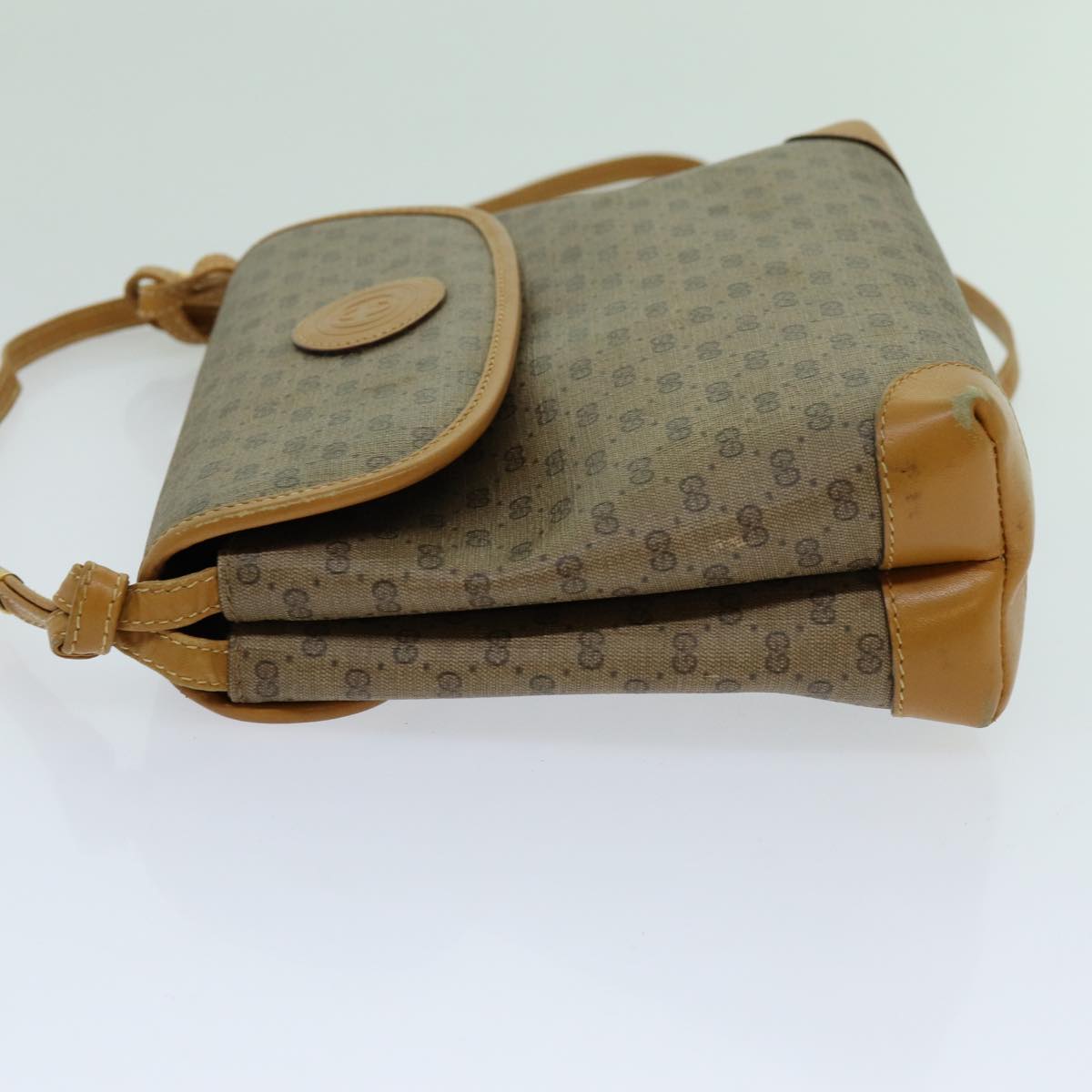 Gucci GG canvas