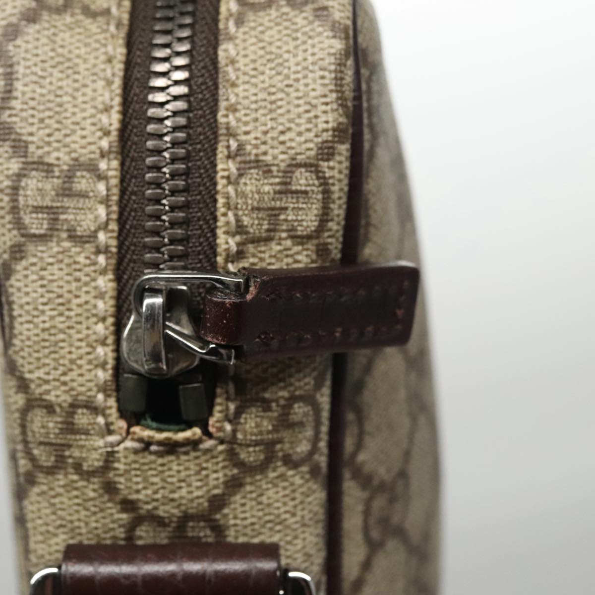 Gucci GG canvas