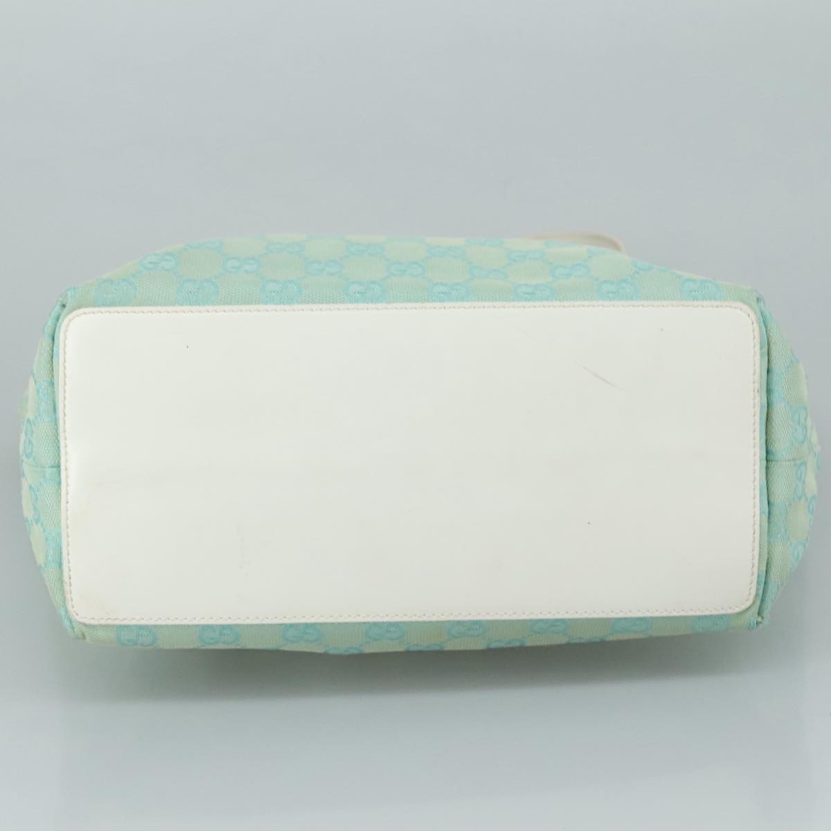 Gucci GG canvas