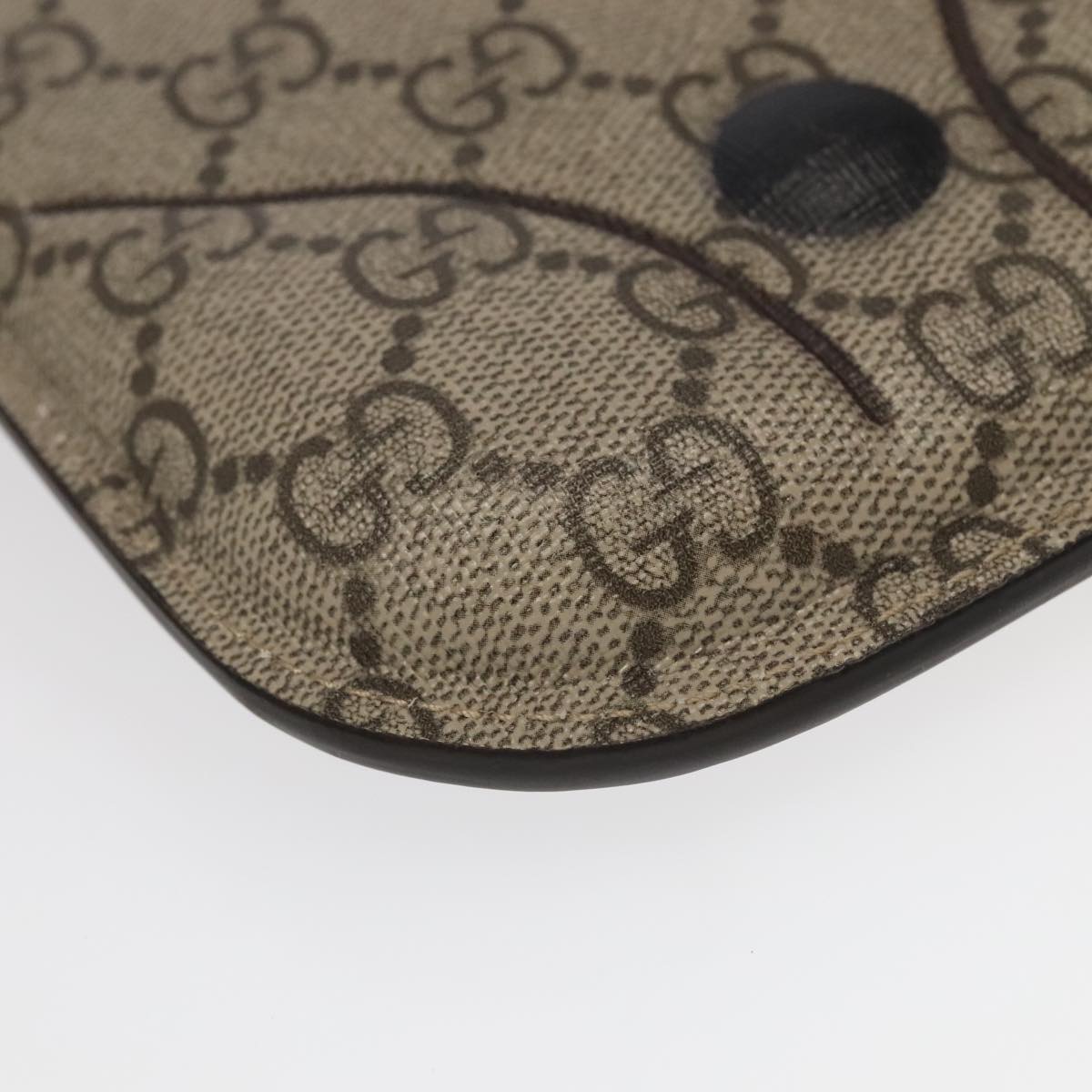 Gucci GG canvas