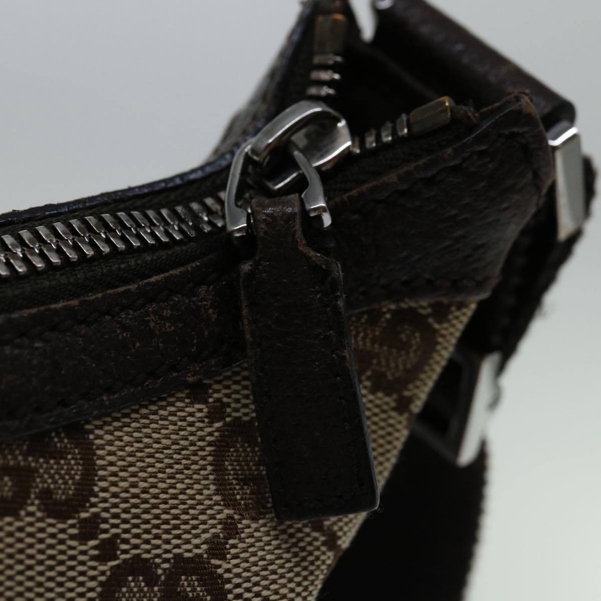 Gucci GG canvas