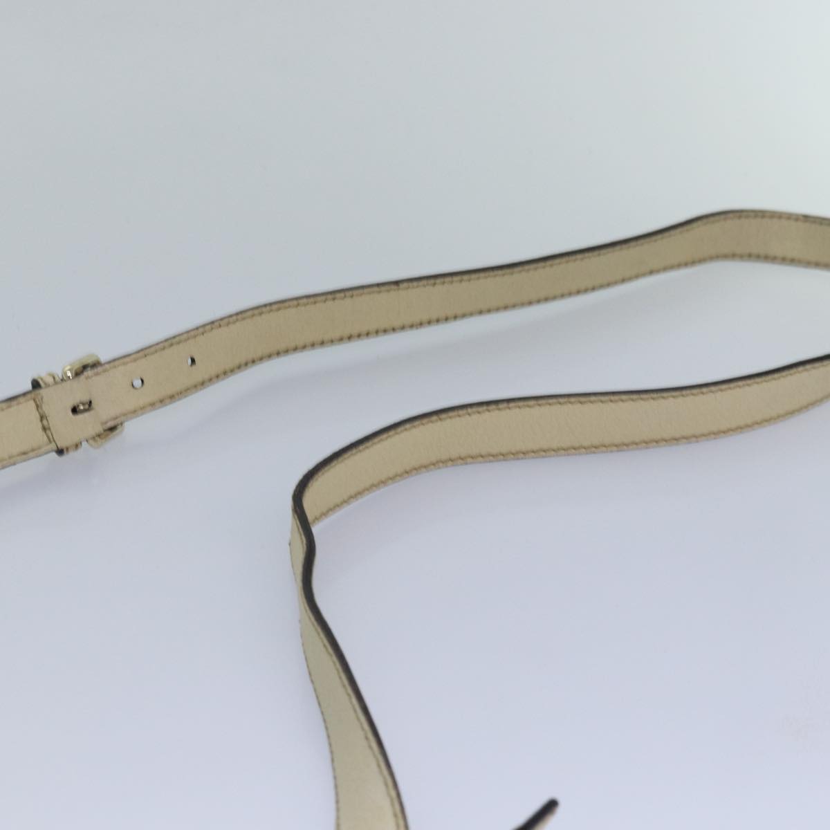 Gucci GG canvas