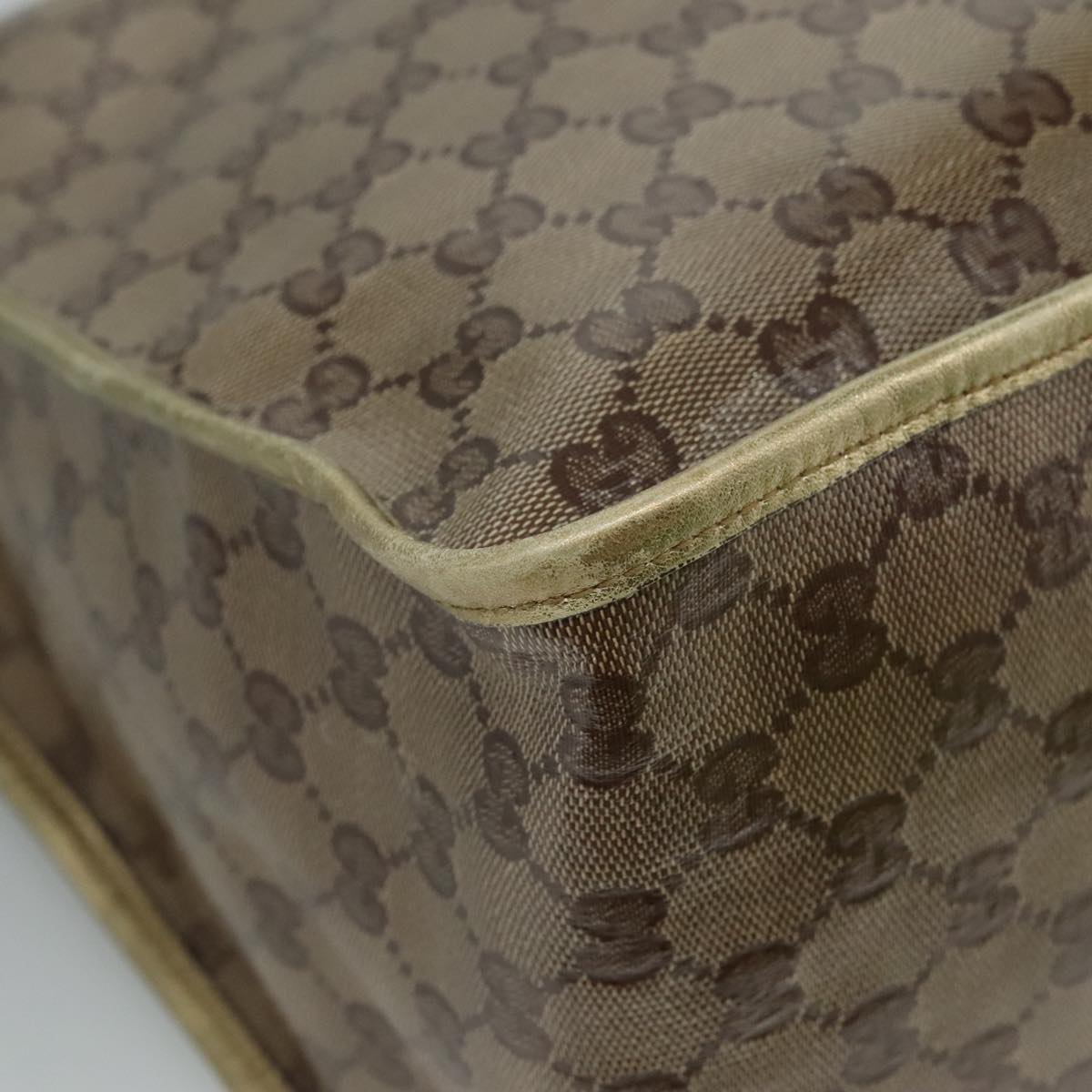 Gucci GG canvas