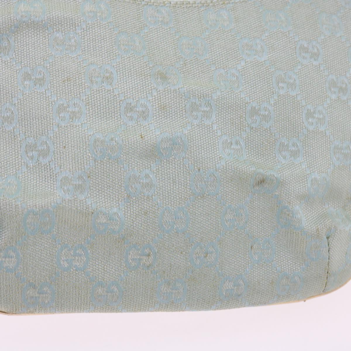 Gucci GG canvas