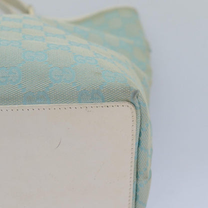Gucci GG canvas