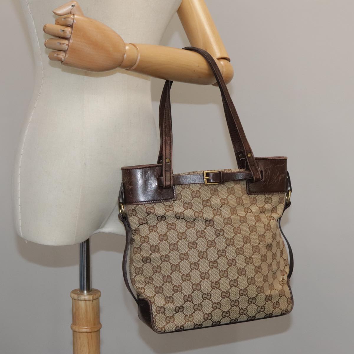 Gucci GG canvas