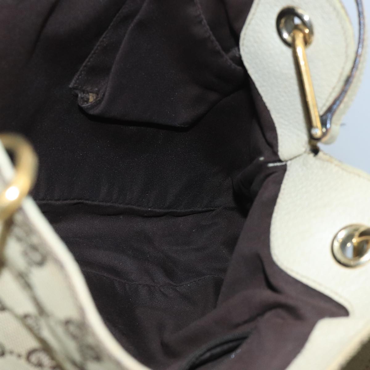 Gucci GG canvas