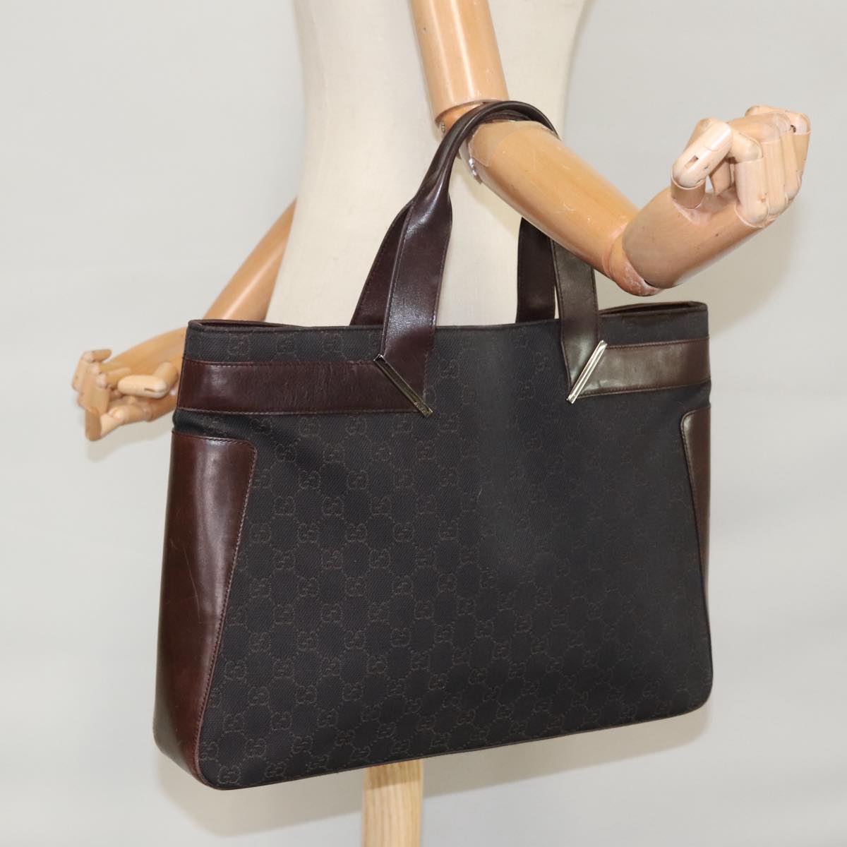 Gucci GG canvas