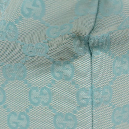 Gucci GG canvas