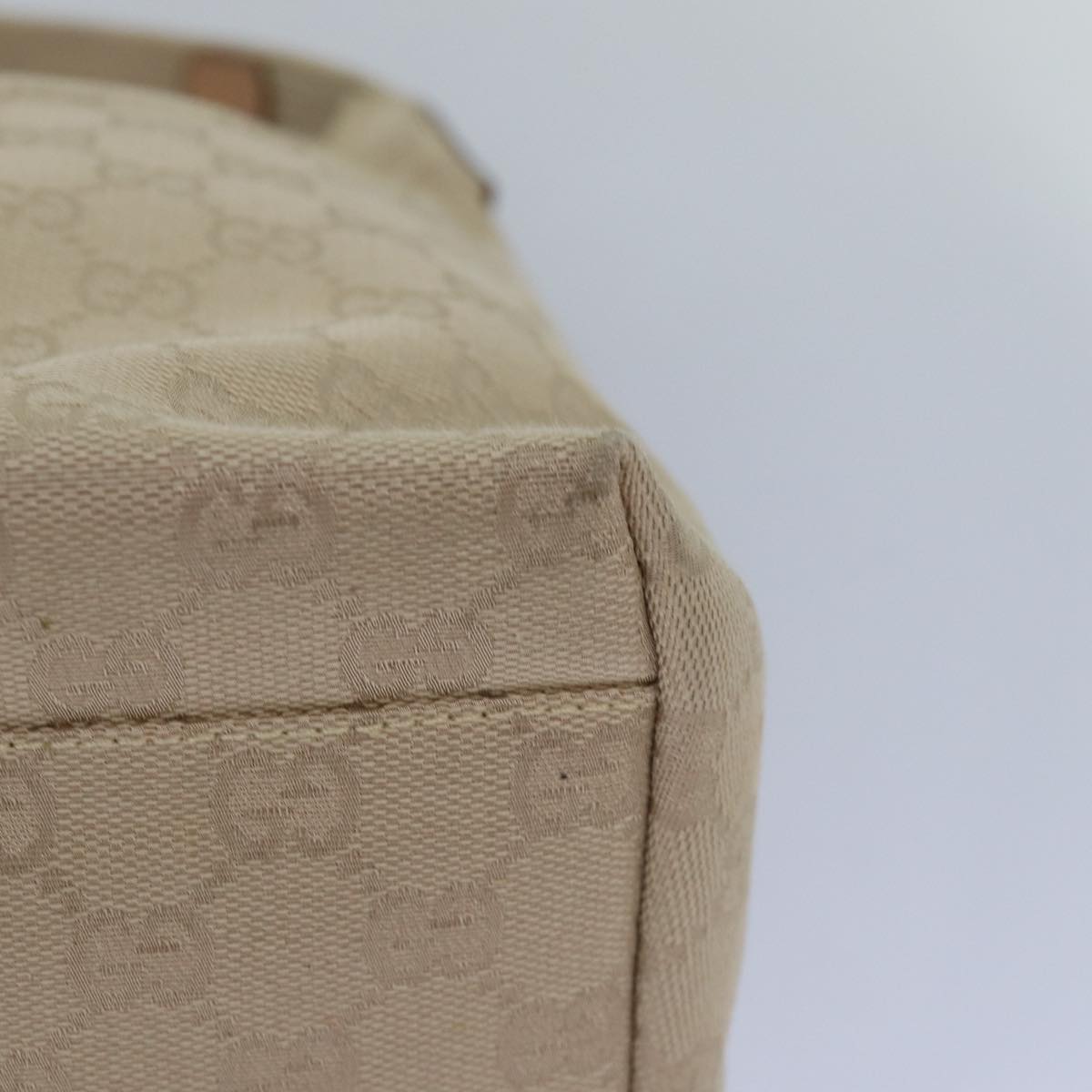 Gucci GG canvas