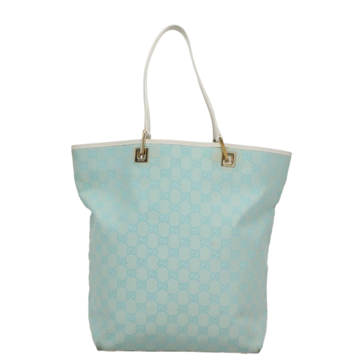 Gucci GG canvas