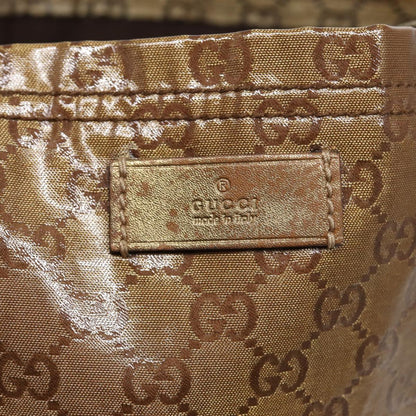 Gucci GG canvas