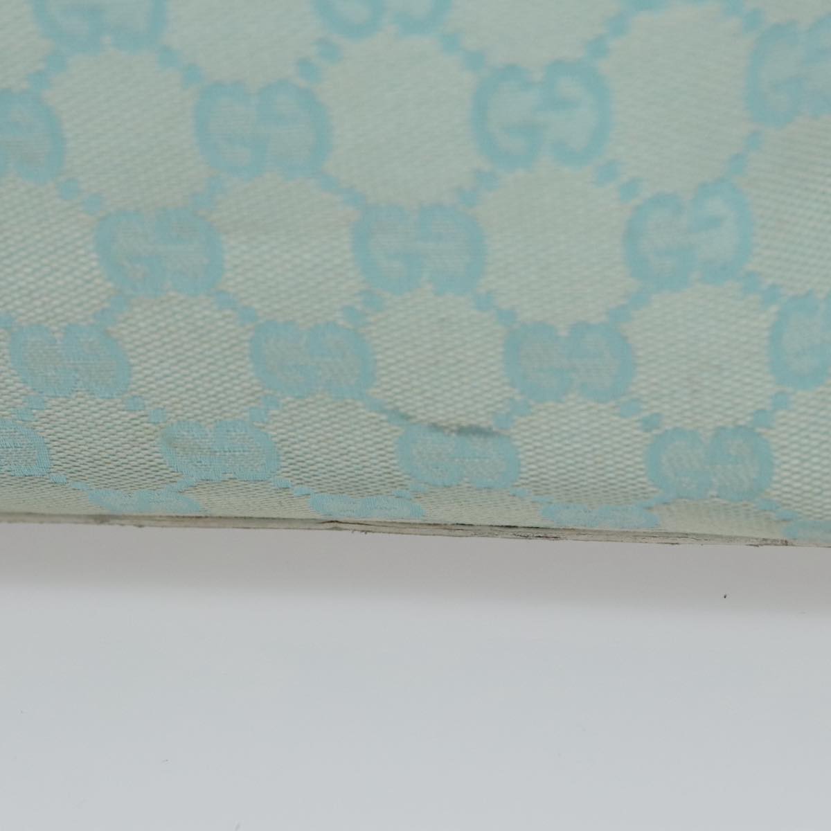 Gucci GG canvas