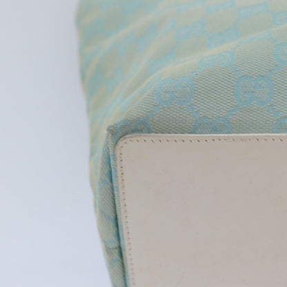 Gucci GG canvas