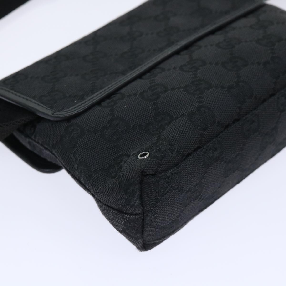 Gucci GG canvas