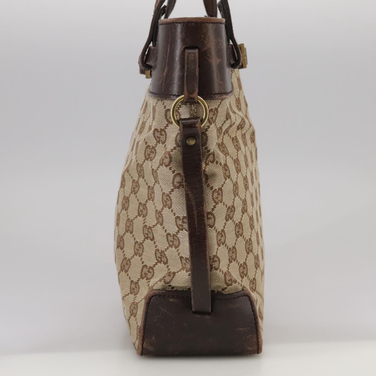 Gucci GG canvas