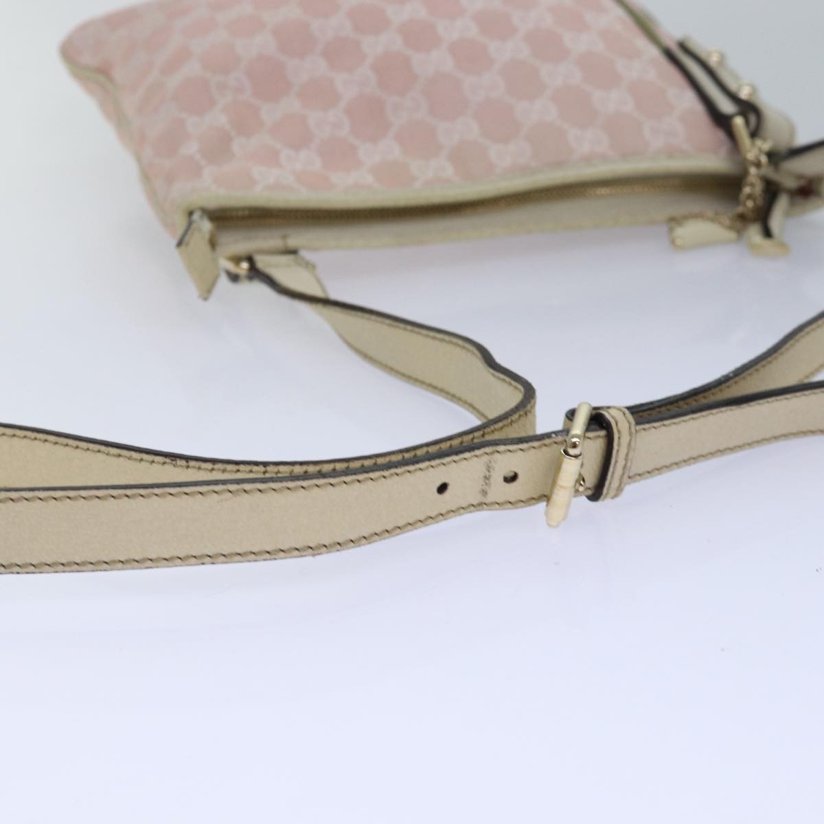 Gucci GG canvas