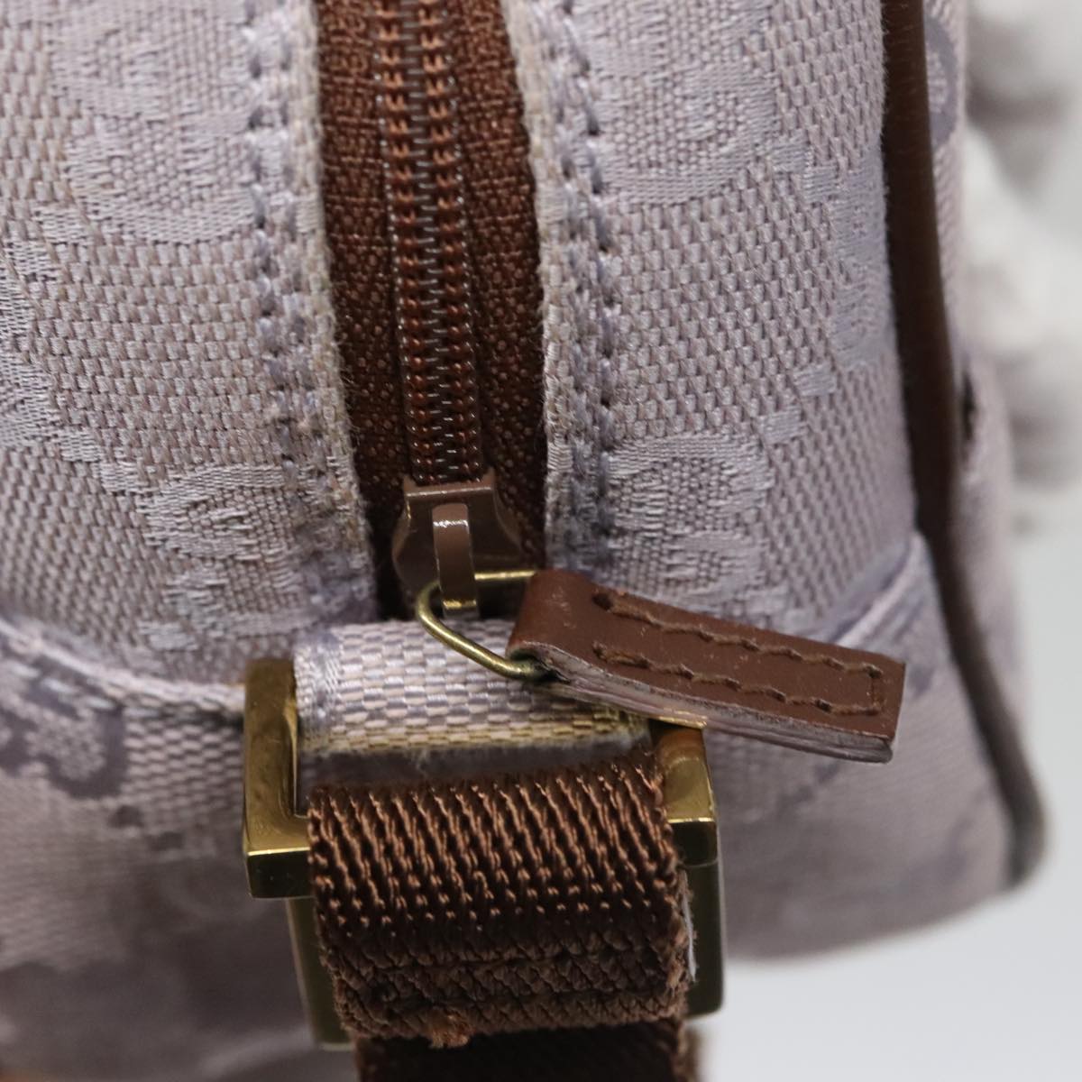 Gucci GG canvas