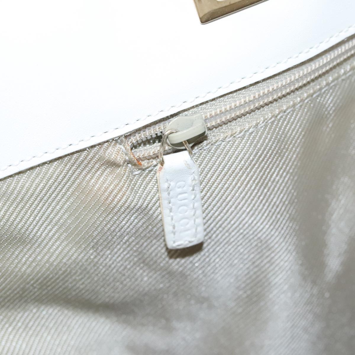 Gucci GG canvas