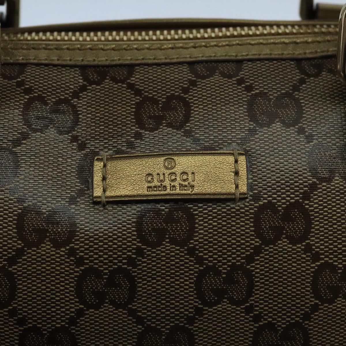Gucci GG canvas