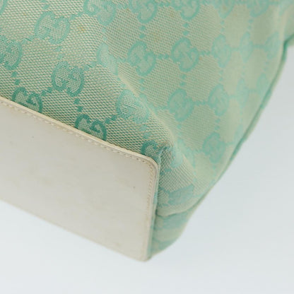 Gucci GG canvas