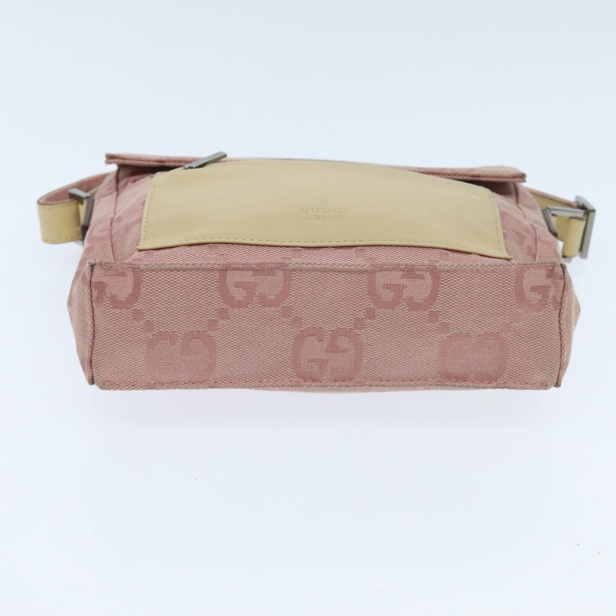 Gucci GG canvas