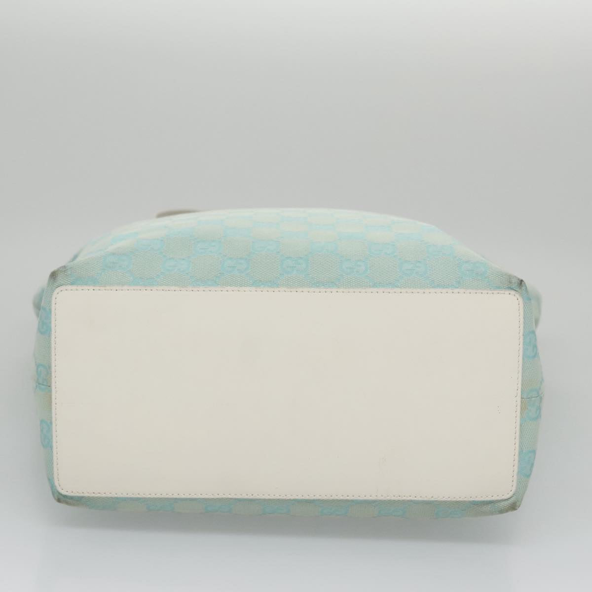 Gucci GG canvas